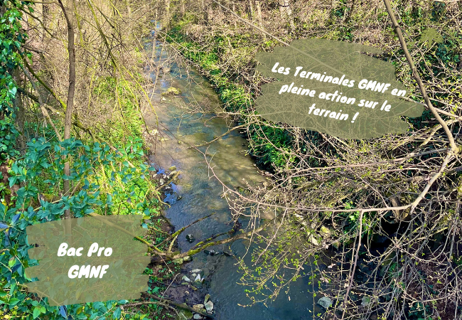 Terminales GMNF en étude de ruisseau lors d’un CCF sur le terrain